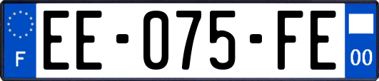 EE-075-FE