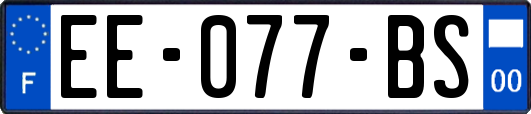 EE-077-BS