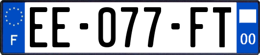 EE-077-FT