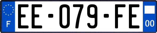 EE-079-FE