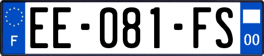 EE-081-FS