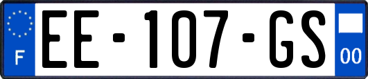EE-107-GS