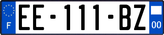 EE-111-BZ