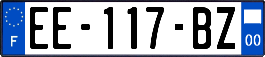 EE-117-BZ