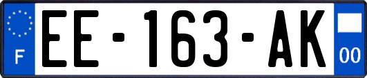 EE-163-AK