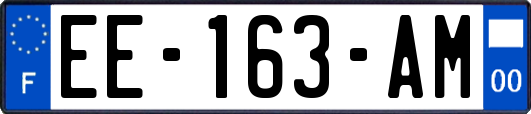 EE-163-AM