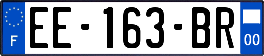 EE-163-BR