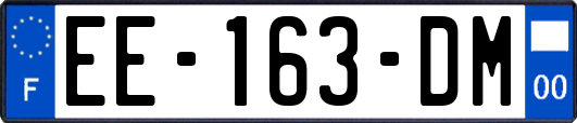 EE-163-DM