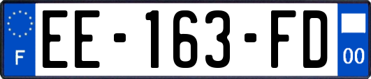 EE-163-FD