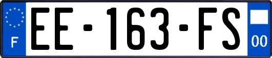 EE-163-FS