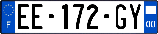 EE-172-GY
