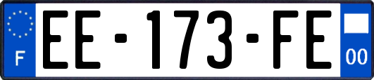 EE-173-FE