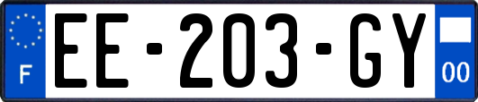 EE-203-GY