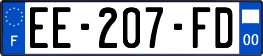 EE-207-FD