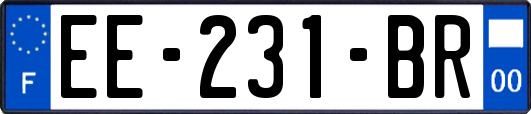 EE-231-BR