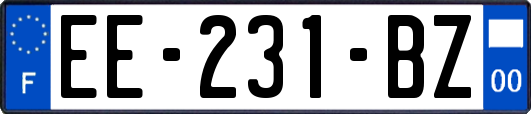 EE-231-BZ