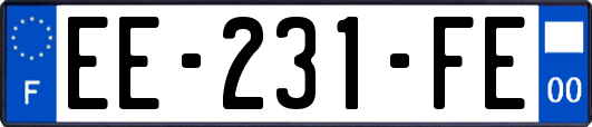 EE-231-FE