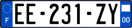 EE-231-ZY