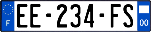 EE-234-FS