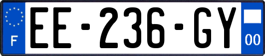 EE-236-GY