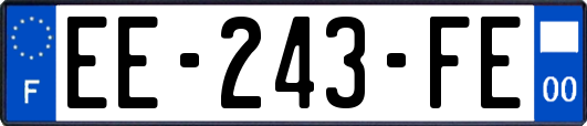 EE-243-FE