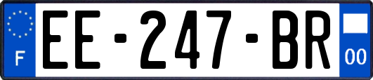 EE-247-BR