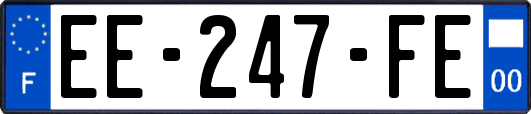 EE-247-FE