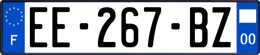 EE-267-BZ