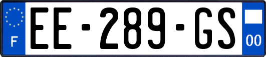 EE-289-GS