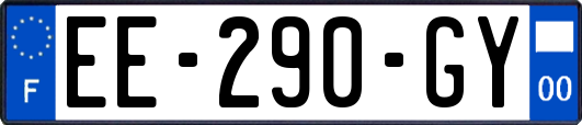 EE-290-GY