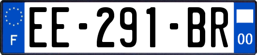 EE-291-BR