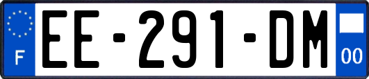 EE-291-DM