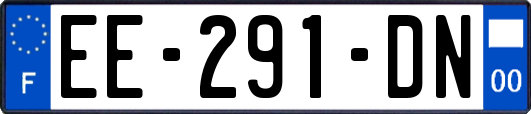 EE-291-DN