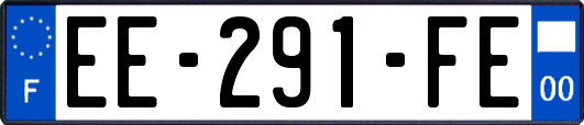 EE-291-FE