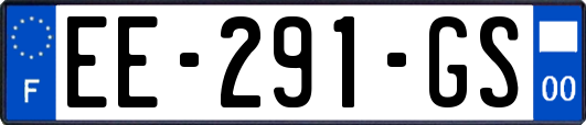 EE-291-GS