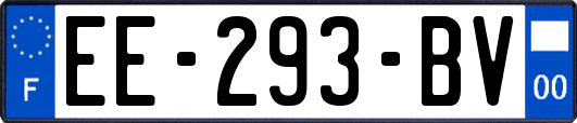 EE-293-BV