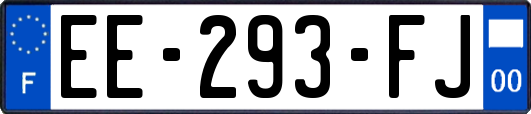 EE-293-FJ