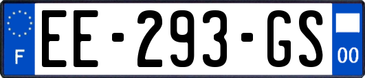 EE-293-GS