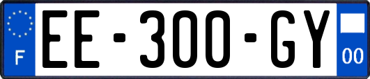 EE-300-GY