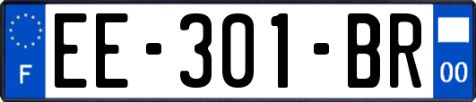 EE-301-BR