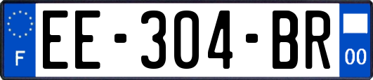 EE-304-BR