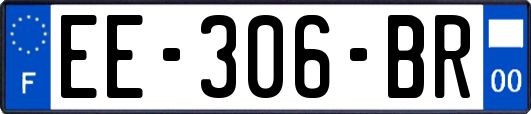 EE-306-BR