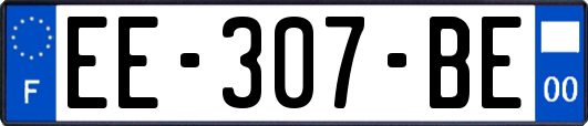 EE-307-BE