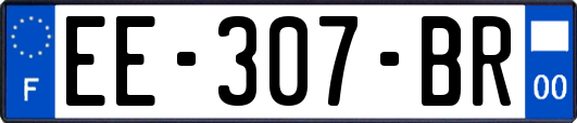 EE-307-BR