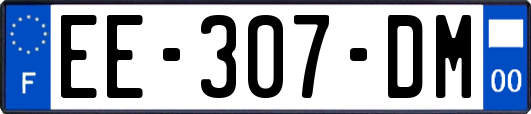 EE-307-DM