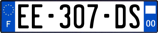 EE-307-DS