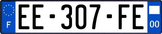 EE-307-FE