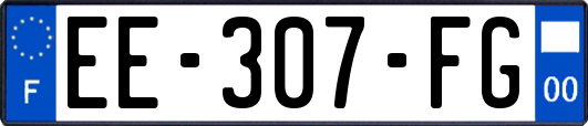 EE-307-FG