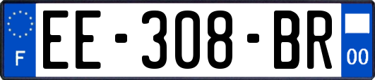 EE-308-BR