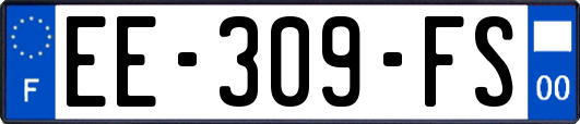 EE-309-FS